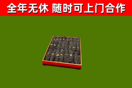 青神回收海参